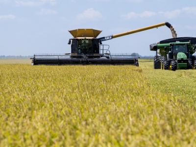 Agriculture